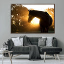 Horse at Sunset Wall Art Animal Canvas Print