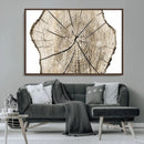 Abstract Wood Tree Ring Wall Art - Ready to Hang Minimalist