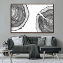Abstract Large Tree Rings – Minimalist Black and White Wood