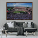 South Carolina Gamecocks Football Team Print - Columbia