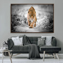 Jaguar Wall Art Canvas Print - Majestic Big Cat in Focused by MyGreatCanvas | Canvas Wall Art Prints | Photo Prints & Wall Decor