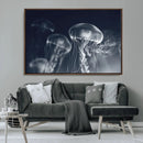 Jellyfish Wall Art Canvas Print, Modern Abstract Jellyfish