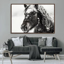 Framed Black and White Horse Wall Art | Ready to Hang and by MyGreatCanvas | Canvas Wall Art Prints | Photo Prints & Wall Decor