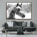 Black Horse Winter Wall Art | Ready to Hang and Framed |