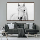 Majestic White Horse Wall Art | Ready to Hang and Framed | by MyGreatCanvas | Canvas Wall Art Prints | Photo Prints & Wall Decor