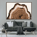 Rustic Wood Rings Wall Art | Nature-Inspired Tree Ring