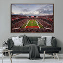 Florida Tampa Raymond James Stadium Wall Art Canvas Print -