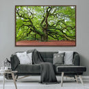 Framed Angel Oak Tree Wall Art - 3-Panel Canvas Prints,