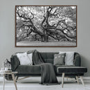 Black White Angel Oak Tree Wall Art - Timeless