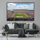 The Temple University Owls Athletics Team Print -