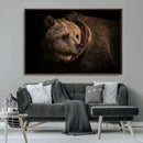 Wild Grizzly 399 Bear Canvas Wall Art Print, Bear Animal by MyGreatCanvas | Canvas Wall Art Prints | Photo Prints & Wall Decor