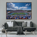 Air Force Falcons Football Team Print - Colorado Springs
