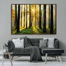 Sunlit Forest Wall Art Canvas Print – Large Framed Woodland