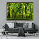 Lush Green Forest Canvas Print | 3-Panel Forest Wall Art |