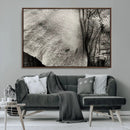 Elephant Wall Art Canvas Print