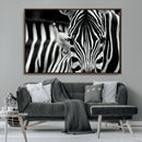 Zebra Wall Art – Zebra Close Up Wall Art – Framed Black by MyGreatCanvas | Canvas Wall Art Prints | Photo Prints & Wall Decor