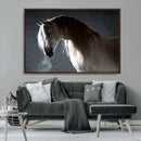 Large Wall Art Cream Colored Horse on Grey Background Canvas
