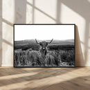 Black and White Highland Cow Canvas Wall Art, Longhorn by MyGreatCanvas | Canvas Wall Art Prints | Photo Prints & Wall Decor