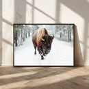 Bison Wall Art Canvas Print For Farmhouse, Animal Canvas