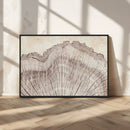 Tree Ring Wall Art Triptych, Rustic Wood Ring Canvas Print,