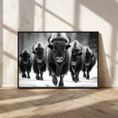 American Bison Art | Buffalo Herd Wall Art Canvas Print, BW