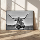 Texas Longhorn Cow Wall Art, Texas Longhorn Canvas, Cattle
