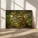 Ancient Angel Oak Tree Art Sunburst Canvas Print-