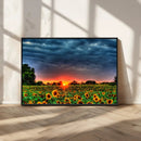 Golden Sunflower Field at Sunset – Breathtaking Sky and