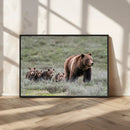 Wildlife Photography of 399 Grizzly Bear Cubs | Queen of the by MyGreatCanvas | Canvas Wall Art Prints | Photo Prints & Wall Decor