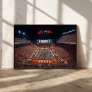 Texas Stadium Night Game Wall Art Canvas Print – Vibrant
