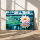 Lotus Flower Wall Art Canvas Print, Water Lily Large Wall