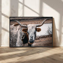 Texas Longhorn Wall Art Canvas Print – Framed Spotted Bull