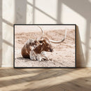 Texas Longhorn Wall Art Canvas Print – Framed Resting Bull by MyGreatCanvas | Canvas Wall Art Prints | Photo Prints & Wall Decor