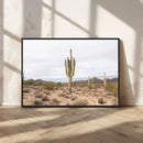 Saguaro Cactus Wall Art – Framed Desert Canvas Artwork, by MyGreatCanvas | Canvas Wall Art Prints | Photo Prints & Wall Decor