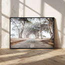 Cypress Tunnel Wall Art – Framed Misty Road Canvas Artwork, by MyGreatCanvas | Canvas Wall Art Prints | Photo Prints & Wall Decor