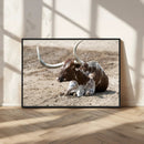 Texas Longhorn Wall Art Canvas Print – Framed Country Living