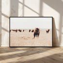 Bison Herd Wall Art Canvas Print – Framed Western Prairie by MyGreatCanvas | Canvas Wall Art Prints | Photo Prints & Wall Decor