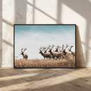 Elk Herd Wall Art Canvas Print – Framed Wildlife Photography