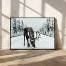 Moose Snow Wall Art Canvas Print – Framed Winter Wildlife by MyGreatCanvas | Canvas Wall Art Prints | Photo Prints & Wall Decor