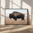 American Bison Wall Art Canvas Print – Majestic Buffalo