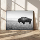 Black White Bison Canvas Wall Art, Rustic American Buffalo by MyGreatCanvas | Canvas Wall Art Prints | Photo Prints & Wall Decor