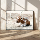 Majestic Longhorn Wall Art Canvas Print – Resting on Sunlit by MyGreatCanvas | Canvas Wall Art Prints | Photo Prints & Wall Decor
