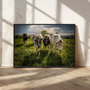 Grazing Cattle Herd Wall Art Canvas Print, Majestic Farm by MyGreatCanvas | Canvas Wall Art Prints | Photo Prints & Wall Decor