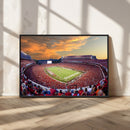 Dooley Stadium Wall Art, Sports Arena Canvas Print, Dooley by MyGreatCanvas | Canvas Wall Art Prints | Photo Prints & Wall Decor