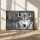 Wild Wolf Blue Eye Wall Art Canvas Print