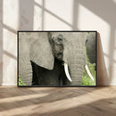 Wild Elephant Wall Art Canvas Print by MyGreatCanvas | Canvas Wall Art Prints | Photo Prints & Wall Decor