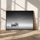 Elephand and Zebra Wall Art Canvas Print, Modern Artwork
