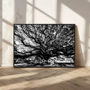 Mighty Angel Oak Wall Art | Angel Oak Tree Art Print by MyGreatCanvas | Canvas Wall Art Prints | Photo Prints & Wall Decor