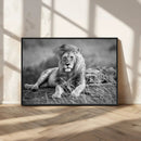 King Forest Lion Wall Art Canvas Print – Framed Majestic by MyGreatCanvas | Canvas Wall Art Prints | Photo Prints & Wall Decor