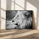 Lion Wall Art Canvas Print – Framed Majestic Wildlife by MyGreatCanvas | Canvas Wall Art Prints | Photo Prints & Wall Decor